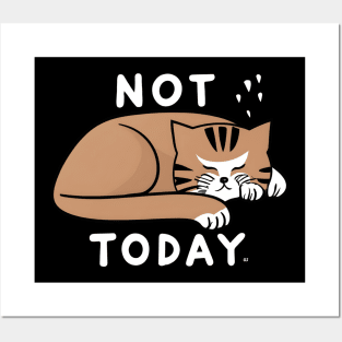 Not today cat Posters and Art